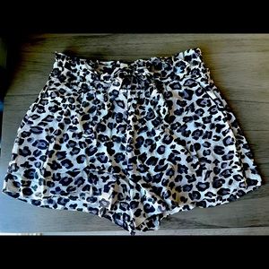 Ambiance Appraise high waisted black cheetah print shorts.